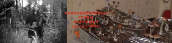 хмурый Нягань